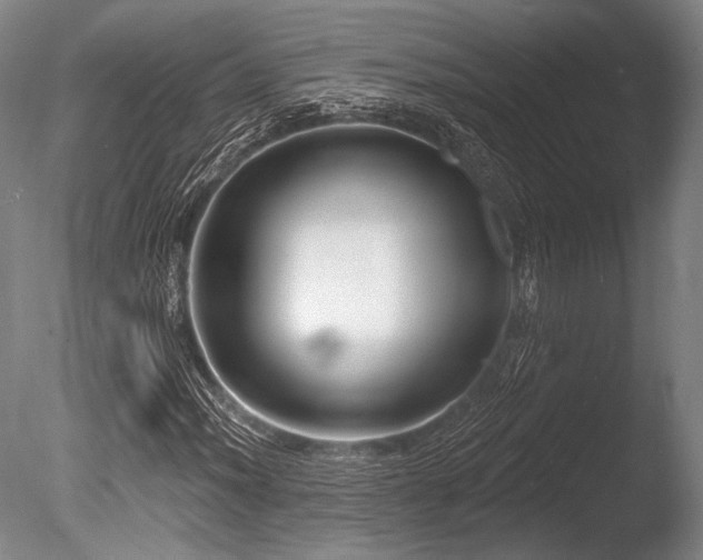 X0000086251012200703291401