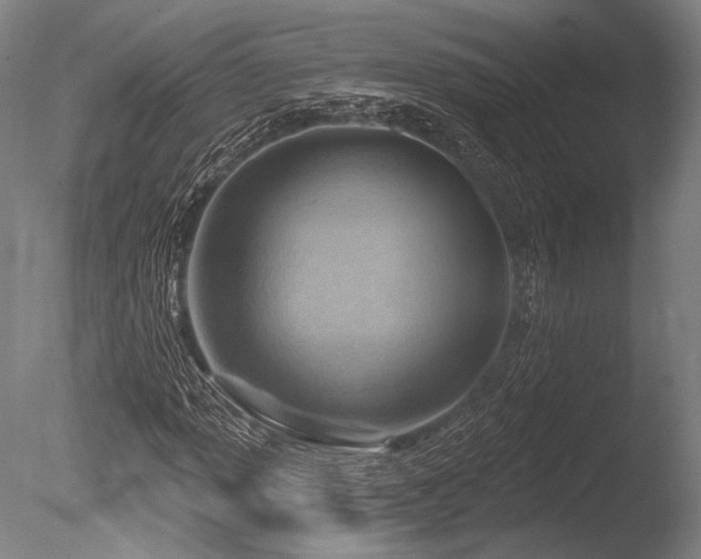 X0000086251013200703291401
