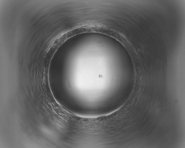 X0000086251016200703291401
