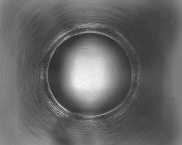 X0000086251017200703291401