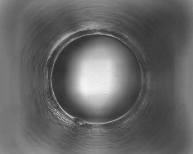 X0000086251021200703291401