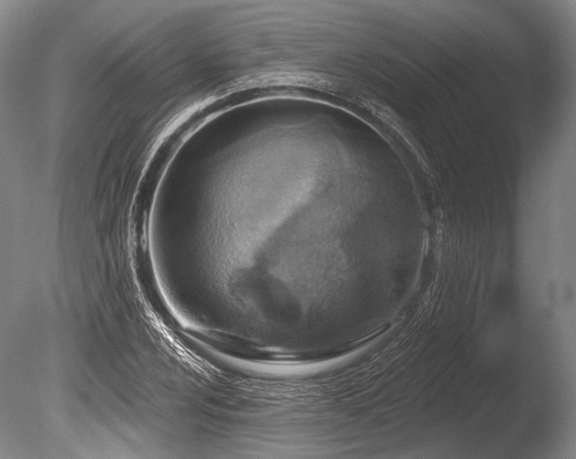 X0000086251024200703291401