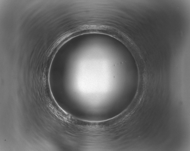 X0000086251025200703291401