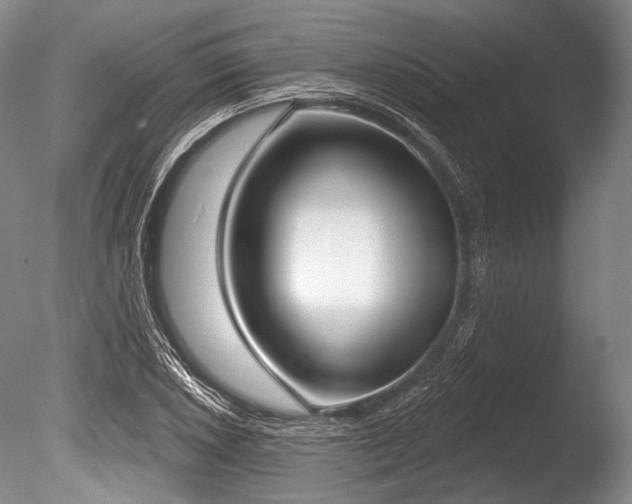 X0000086251026200703291401