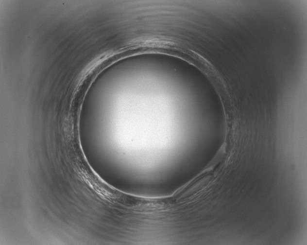 X0000086251027200703291401