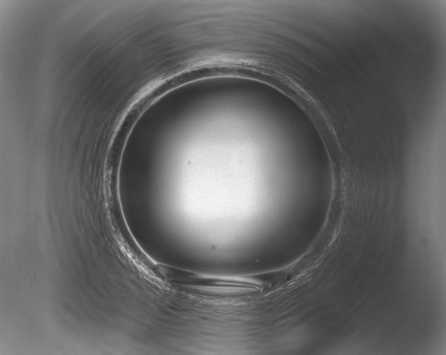 X0000086251029200703291401