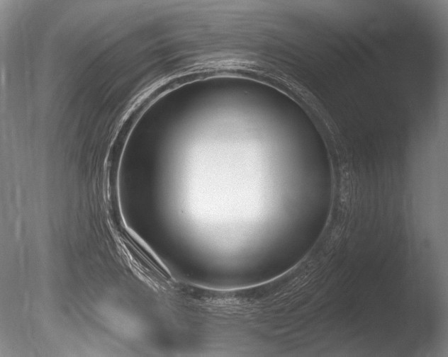 X0000086251031200703291401
