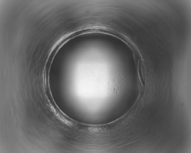 X0000086251032200703291401