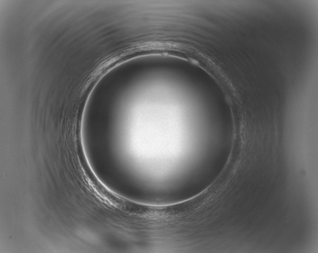 X0000086251033200703291401