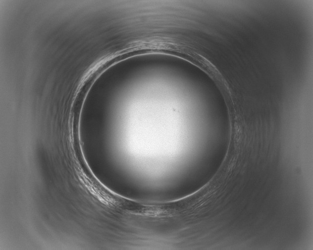X0000086251035200703291401