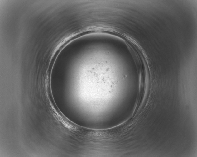 X0000086251040200703291401