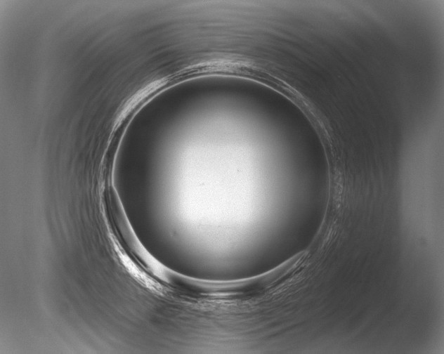 X0000086251042200703291401