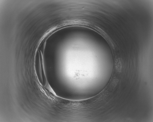 X0000086251043200703291401
