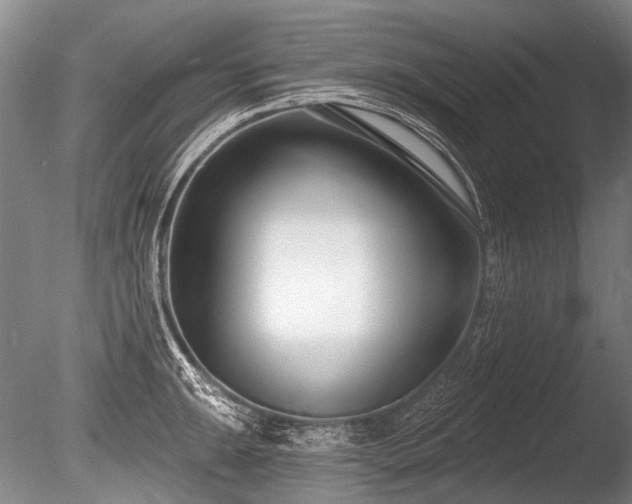 X0000086251047200703291401