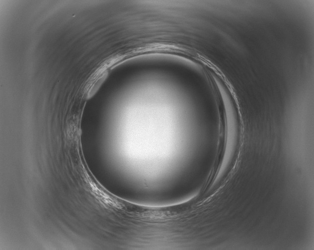 X0000086251049200703291401