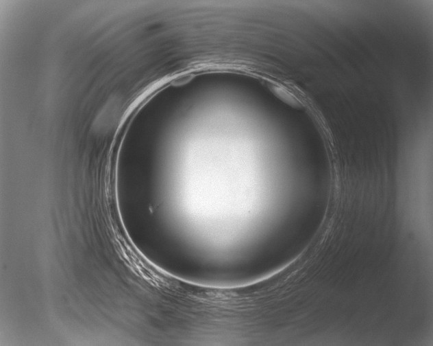 X0000086251052200703291401
