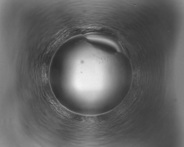 X0000086251058200703291401