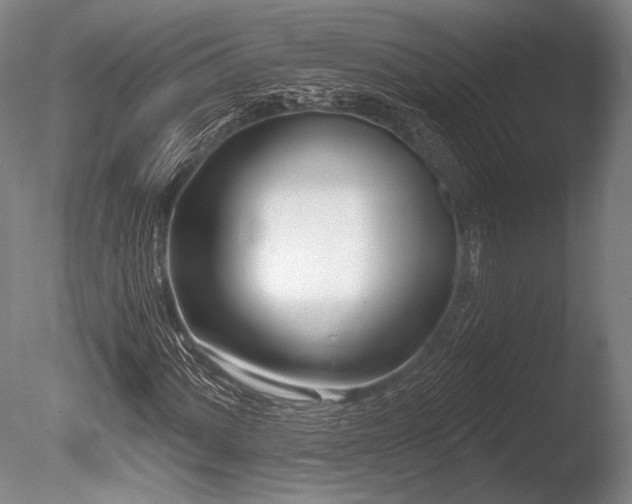 X0000086251060200703291400
