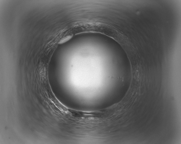 X0000086251061200703291400