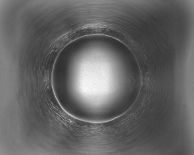 X0000086251062200703291400