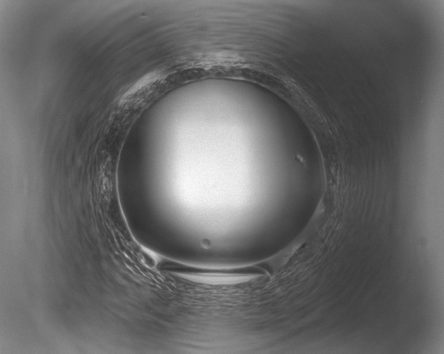 X0000086251063200703291400