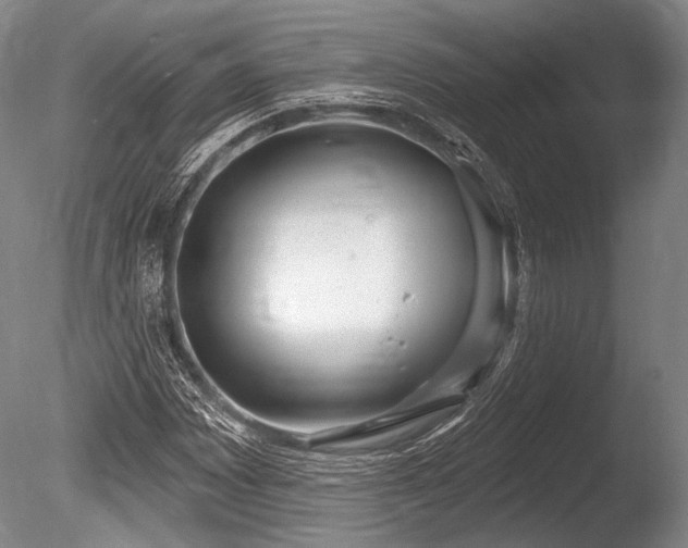 X0000086251065200703291400