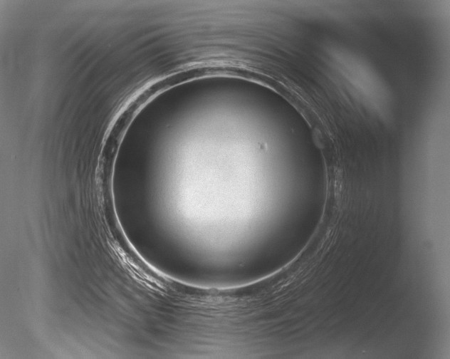 X0000086251068200703291400