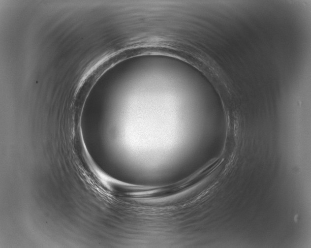 X0000086251069200703291400