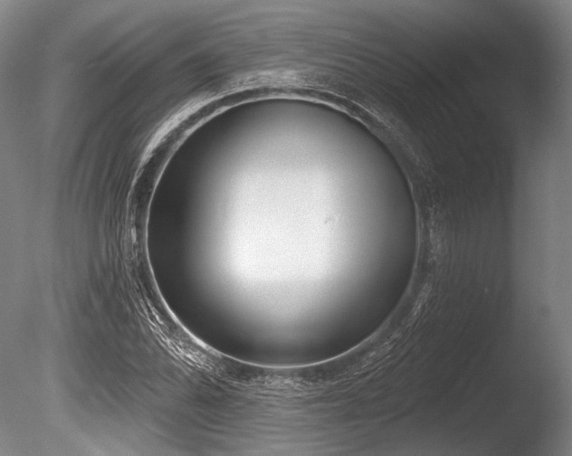 X0000086251070200703291400