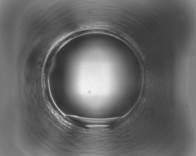 X0000086251072200703291400