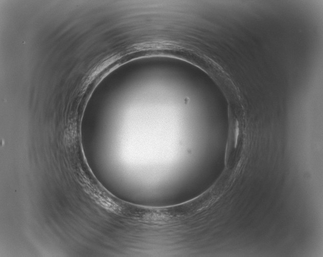 X0000086251073200703291400