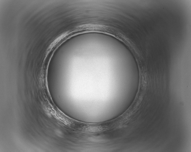 X0000086251074200703291400