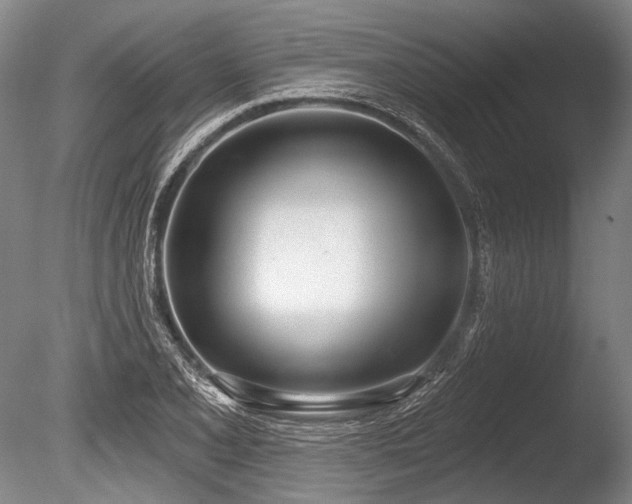 X0000086251077200703291400