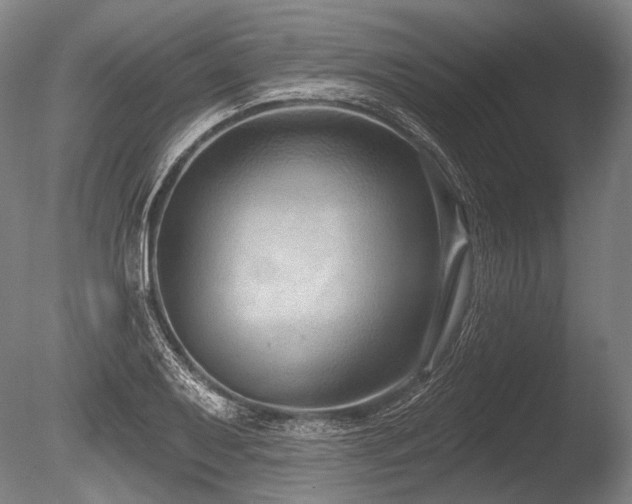 X0000086251079200703291400