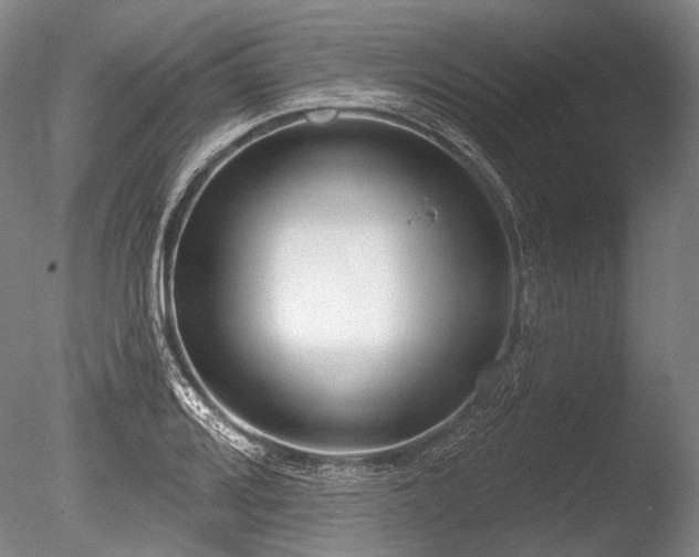 X0000086251080200703291400