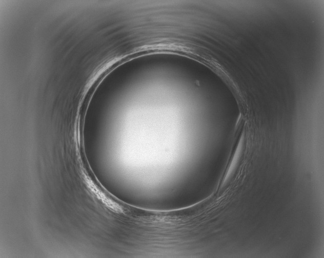 X0000086251084200703291400