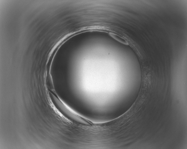 X0000086251092200703291400
