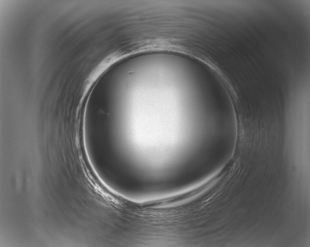 X0000086251102200703291400