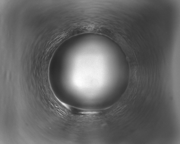 X0000086251105200703291359