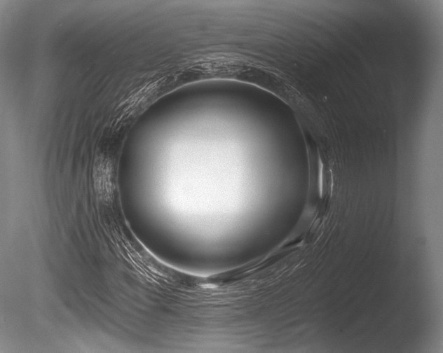 X0000086251108200703291359