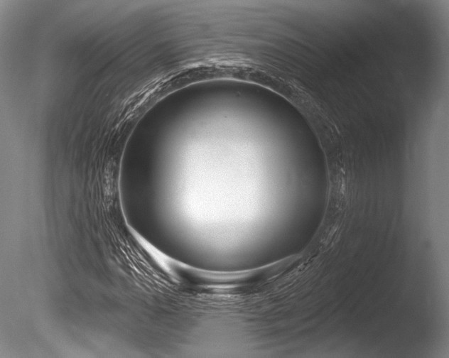 X0000086251110200703291359