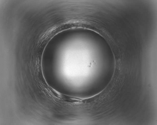X0000086251111200703291359