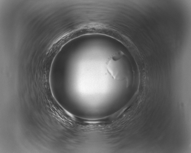 X0000086251112200703291359