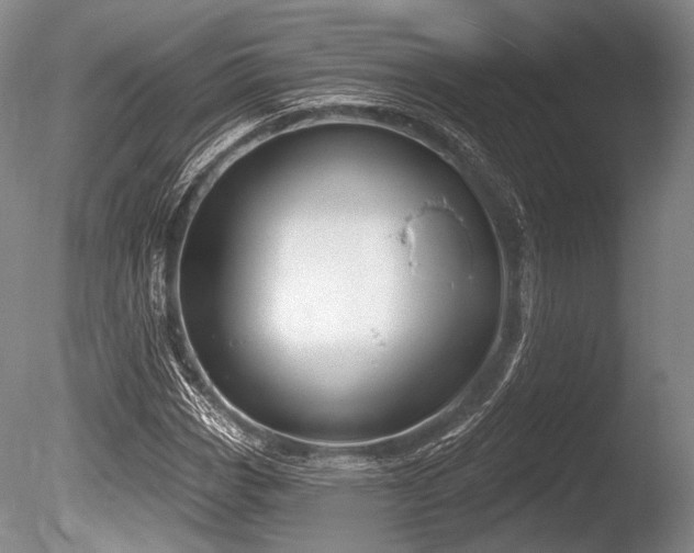 X0000086251113200703291359
