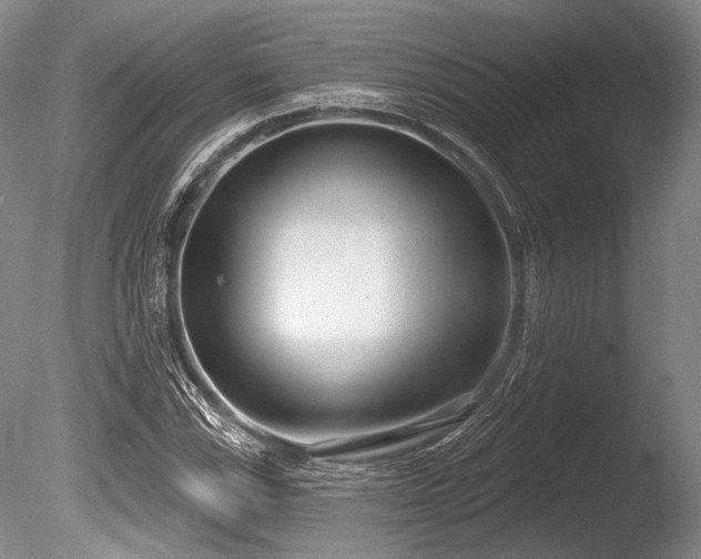 X0000086251115200703291359