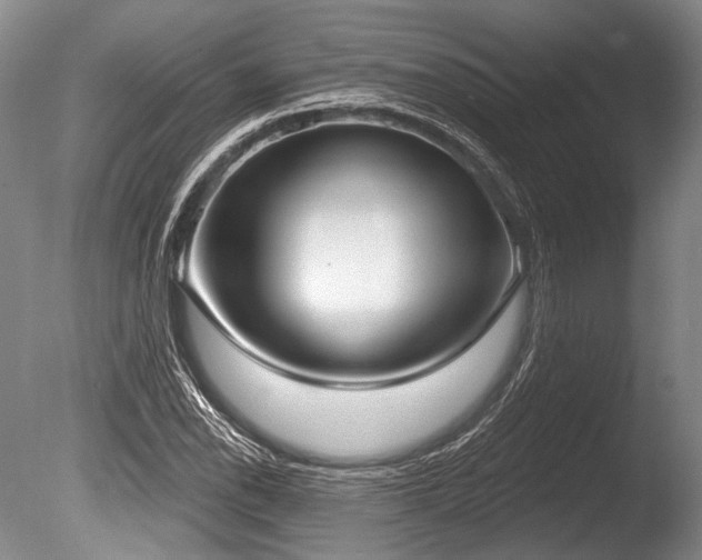 X0000086251118200703291359