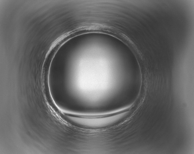 X0000086251122200703291359