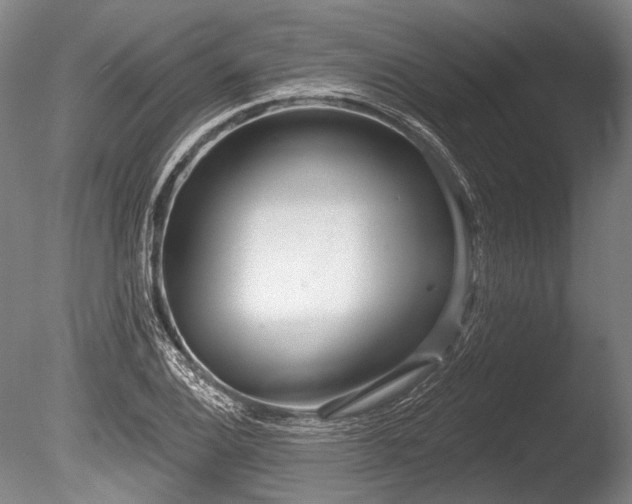 X0000086251124200703291359