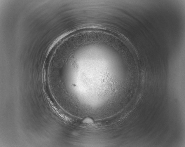 X0000086251125200703291359