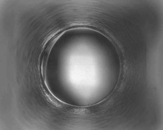 X0000086251129200703291359